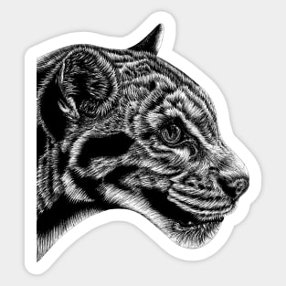 Clouded leopard Sticker